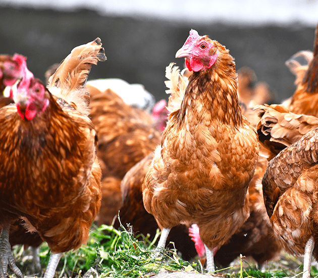 働く環境画像 1