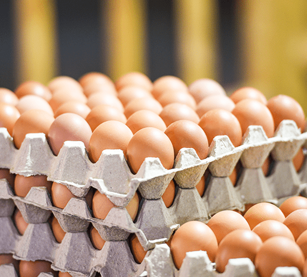 働く環境画像 2