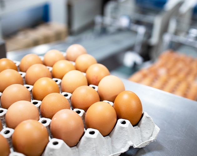 ひとつひとつを丁寧に、命の始まりを支える。孵化 画像１