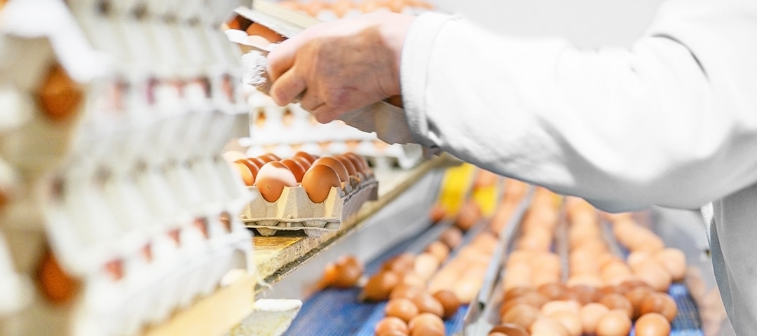 サブビジュアル